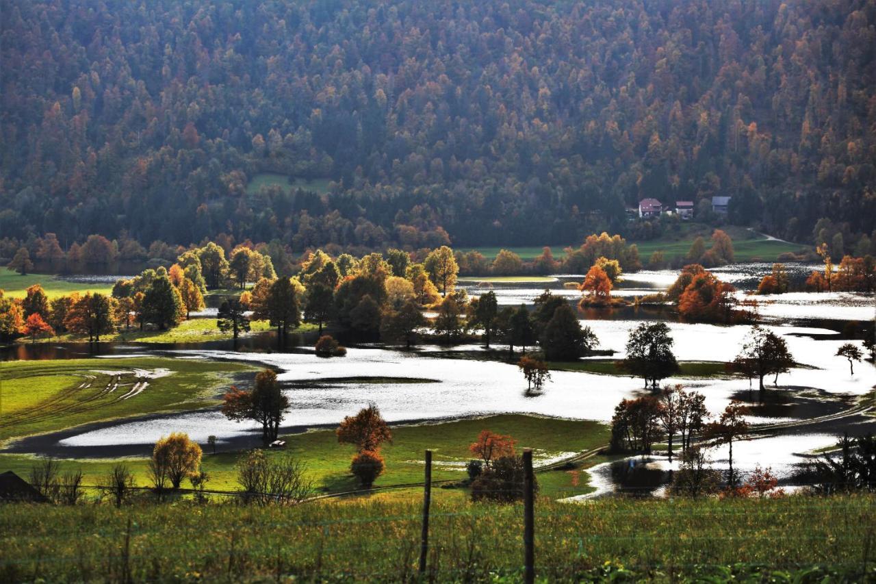 Apartment Sefic Planina  外观 照片