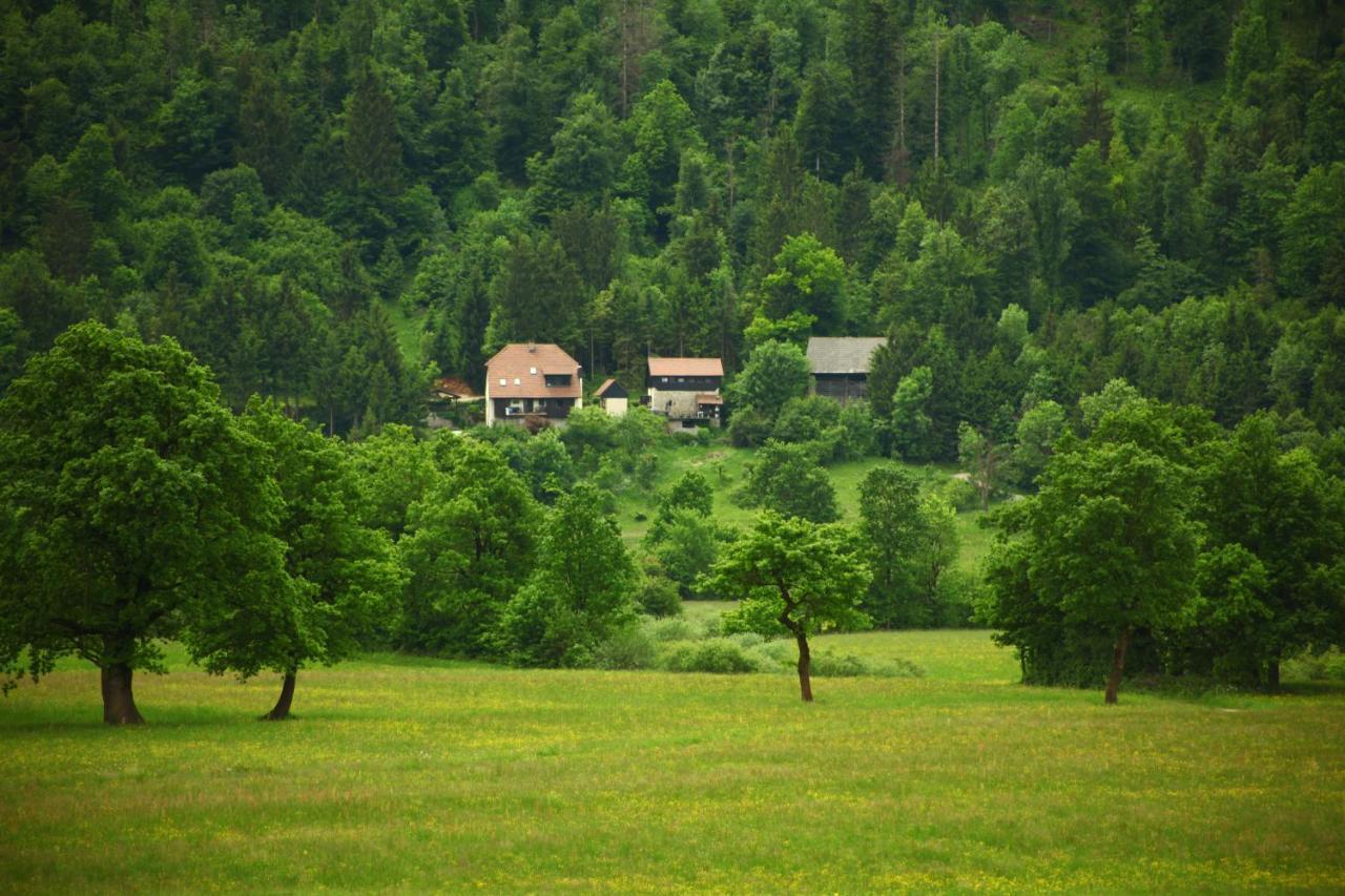Apartment Sefic Planina  外观 照片