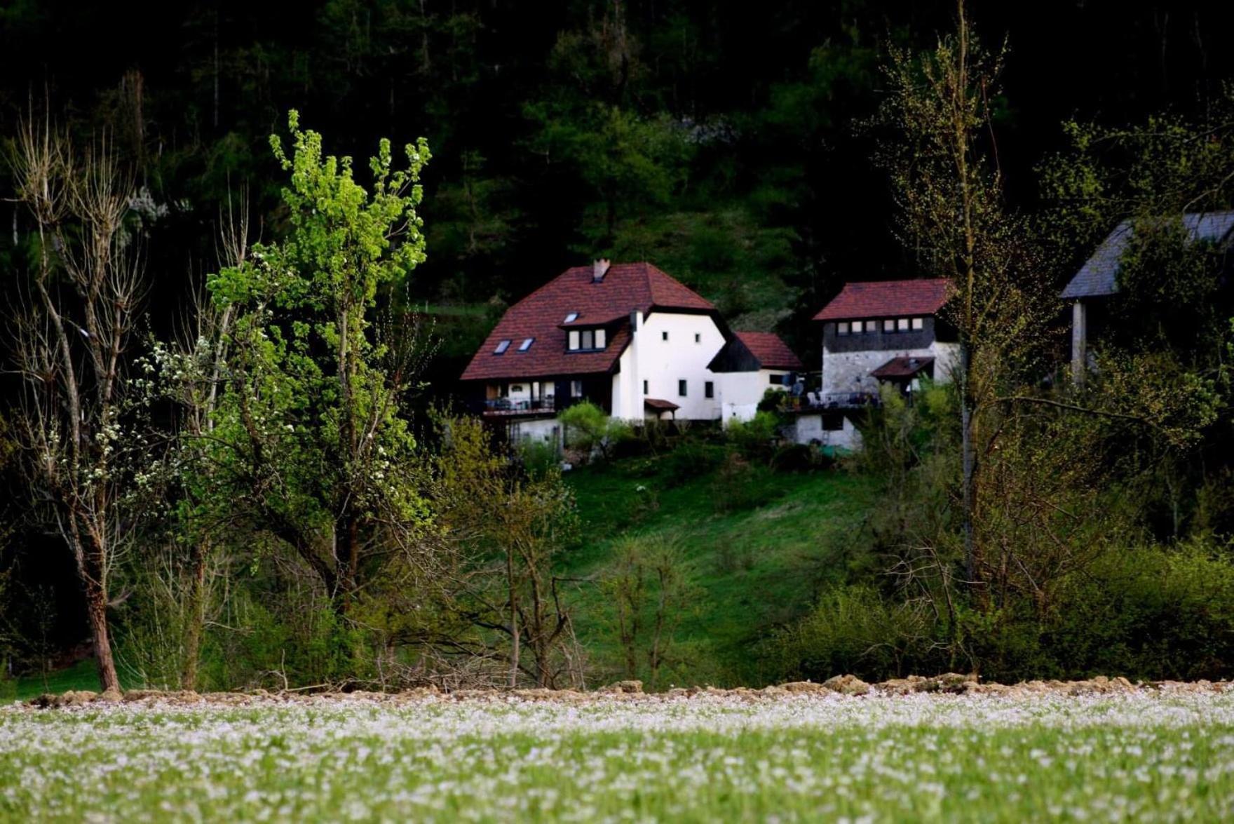 Apartment Sefic Planina  外观 照片