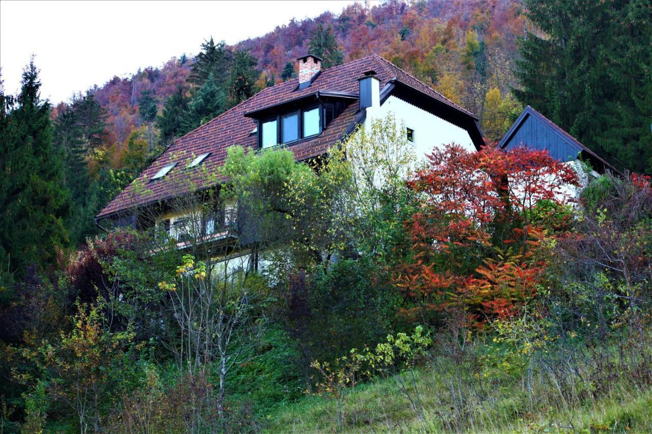 Apartment Sefic Planina  外观 照片